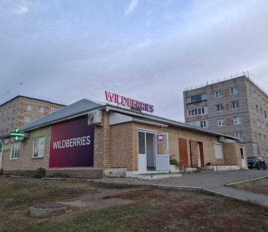 Wildberries, Russia’s Largest Online Marketplace, Plays a Major Role in E-Commerce