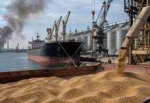 Russia-Ukraine War Disrupts Grain Trade as Wheat Prices Rise