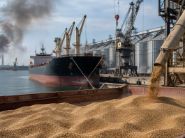 Russia-Ukraine War Disrupts Grain Trade as Wheat Prices Rise