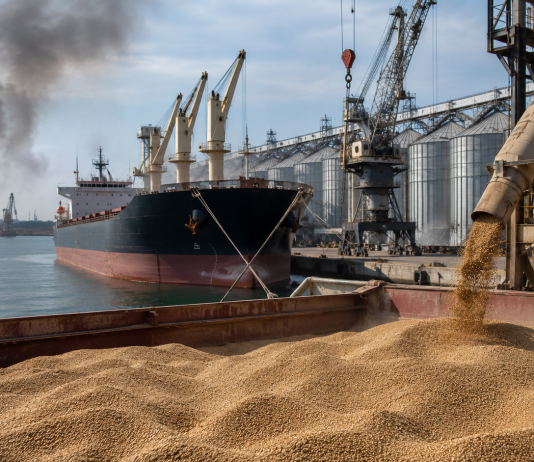 Russia-Ukraine War Disrupts Grain Trade as Wheat Prices Rise