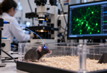 Three Scientists Win 2026 Nobel Prize for Research Using Light to Study the Brain