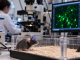 Three Scientists Win 2026 Nobel Prize for Research Using Light to Study the Brain